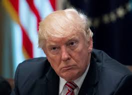 Perfect President Donald J. Trump