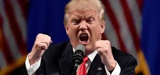 trump role model